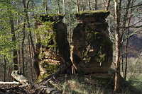 Dv skaln ve