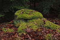 Mechov�&nbsp;pa�ez