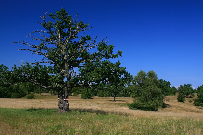 Klikni pro zm�n�en�