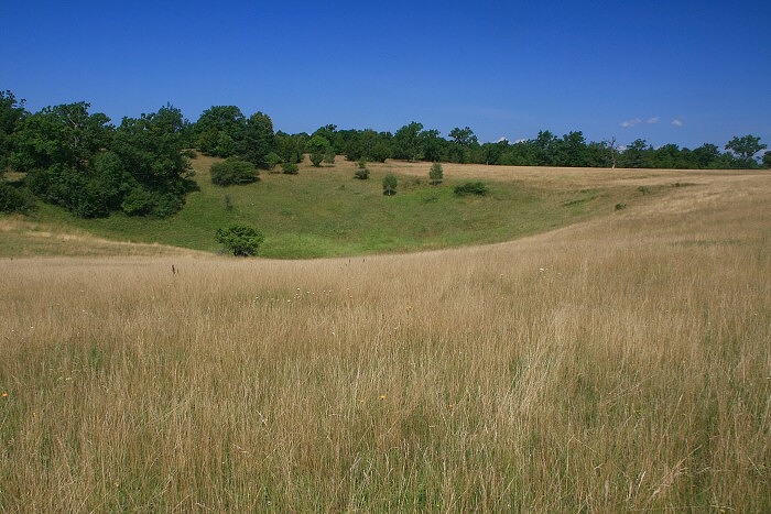 Klikni pro zm�n�en�