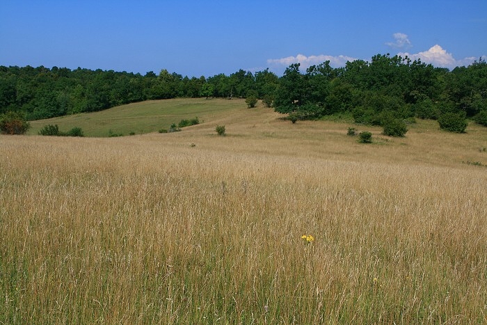 Klikni pro zm�n�en�