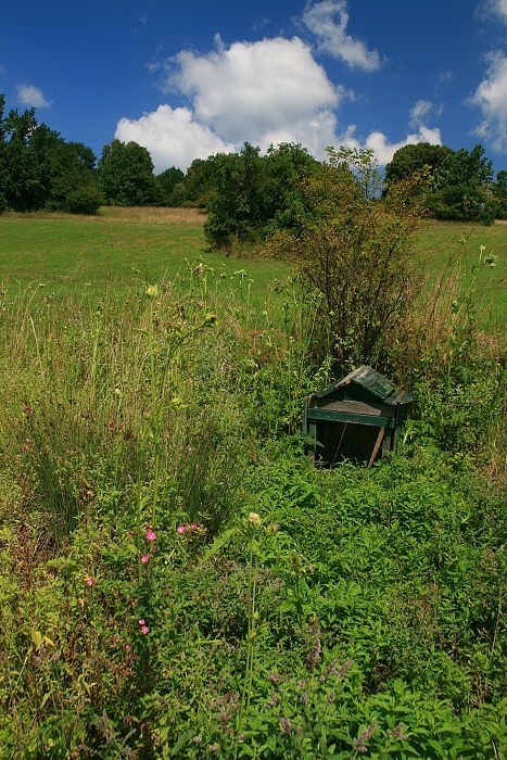 Klikni pro zm�n�en�