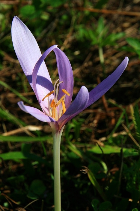 Klikni pro zm�n�en�