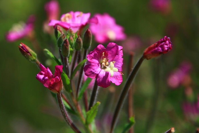 Klikni pro zm�n�en�