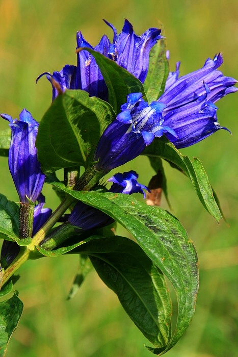 Klikni pro zm�n�en�