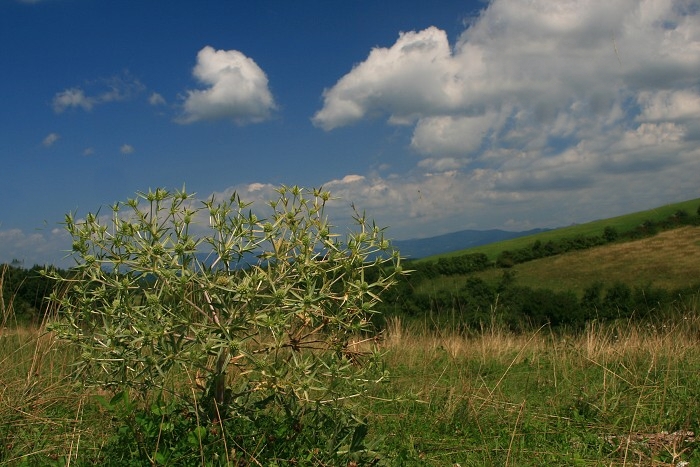 Klikni pro zm�n�en�