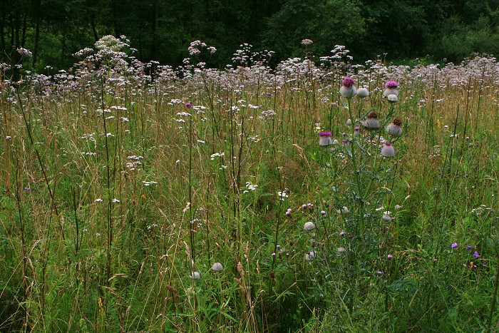 Klikni pro zm�n�en�