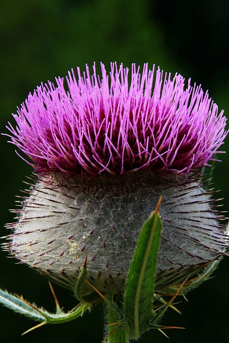 Klikni pro zm�n�en�