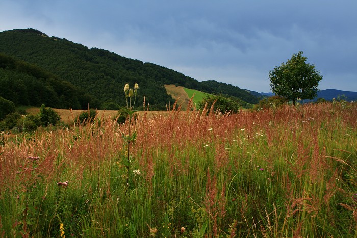 Klikni pro zm�n�en�