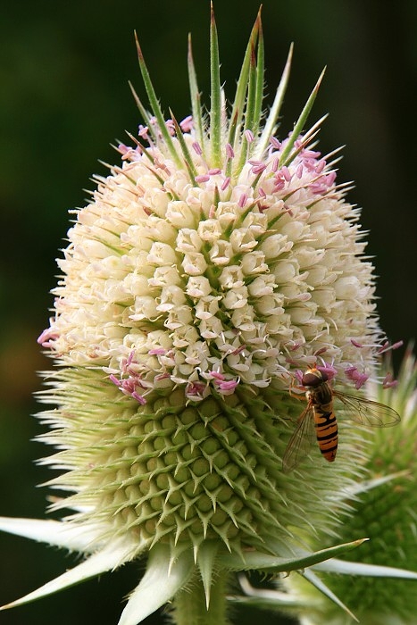 Klikni pro zm�n�en�