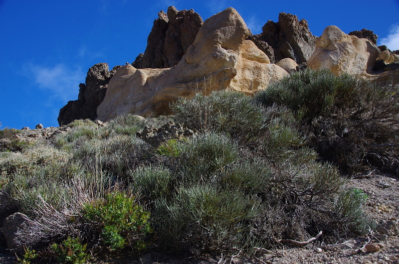 Klikni pro zm�n�en�