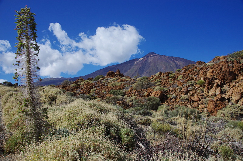 Klikni pro zm�n�en�