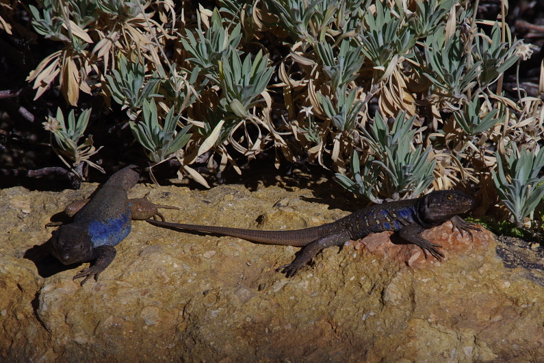 Klikni pro zm�n�en�