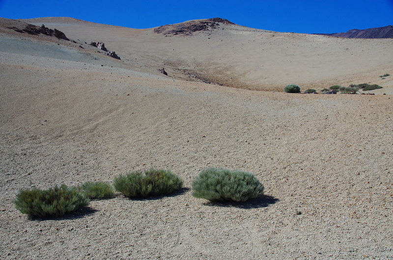 Klikni pro zm�n�en�