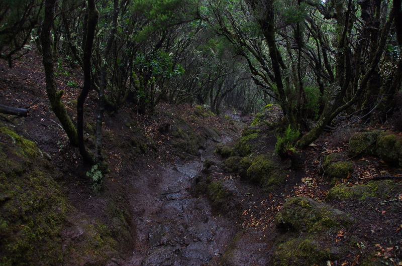 Klikni pro zm�n�en�