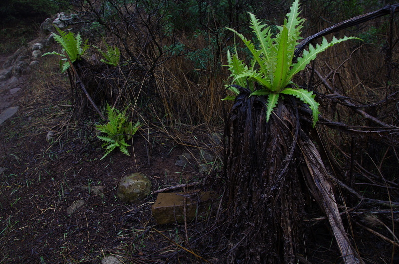 Klikni pro zm�n�en�