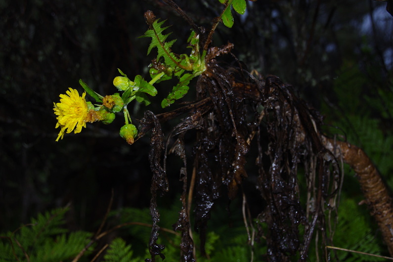 Klikni pro zm�n�en�