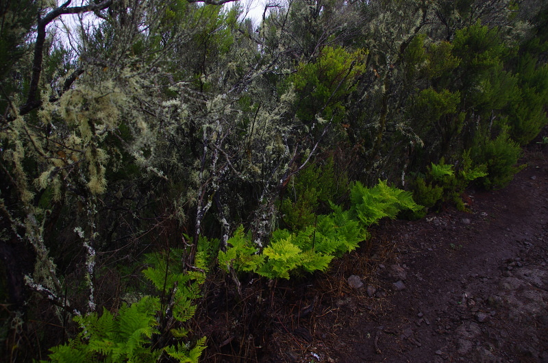 Klikni pro zm�n�en�