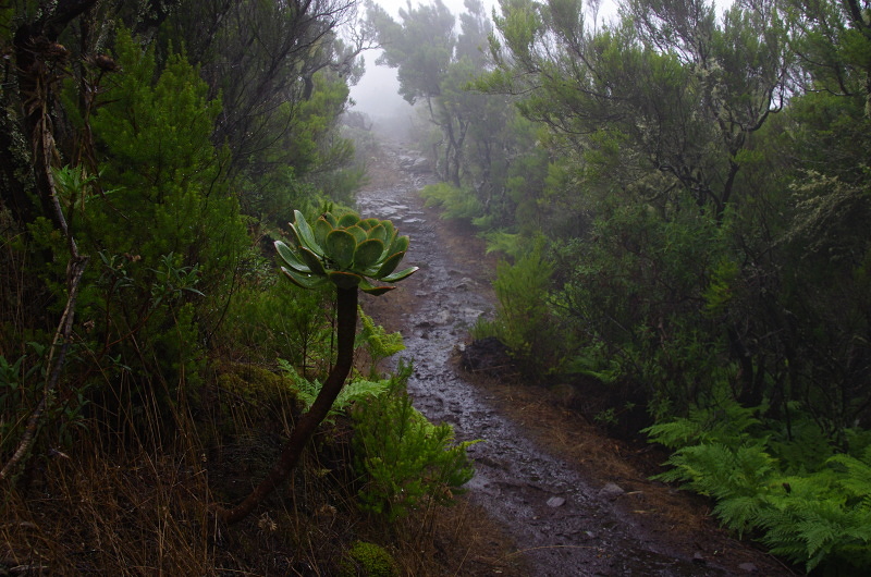 Klikni pro zm�n�en�