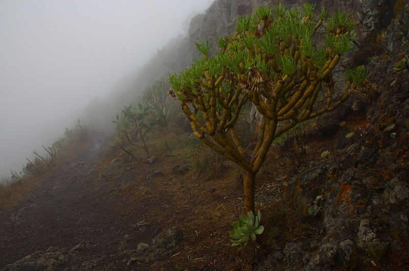 Klikni pro zm�n�en�