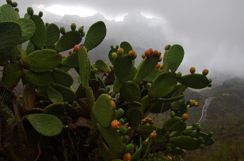 Klikni pro zm�n�en�