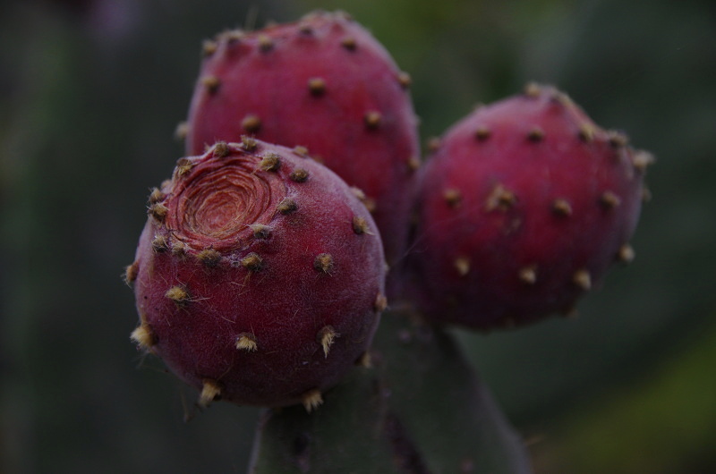 Klikni pro zm�n�en�