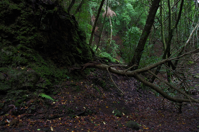 Klikni pro zm�n�en�