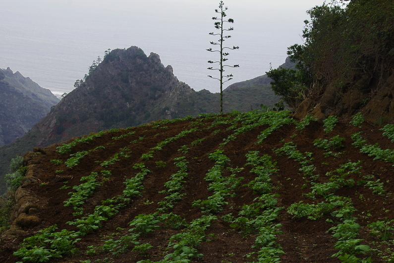 Klikni pro zm�n�en�