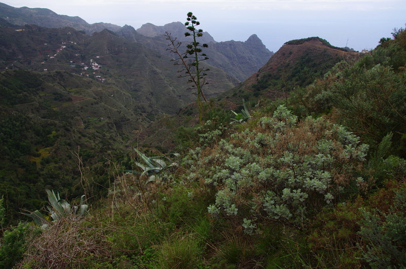 Klikni pro zm�n�en�