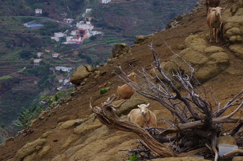 Klikni pro zm�n�en�