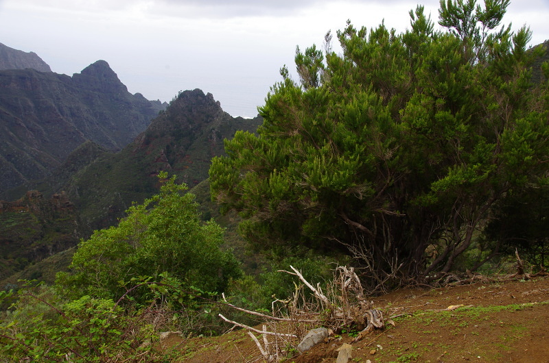 Klikni pro zm�n�en�