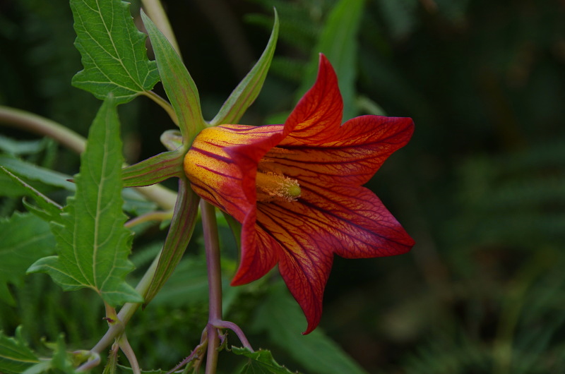 Klikni pro zm�n�en�