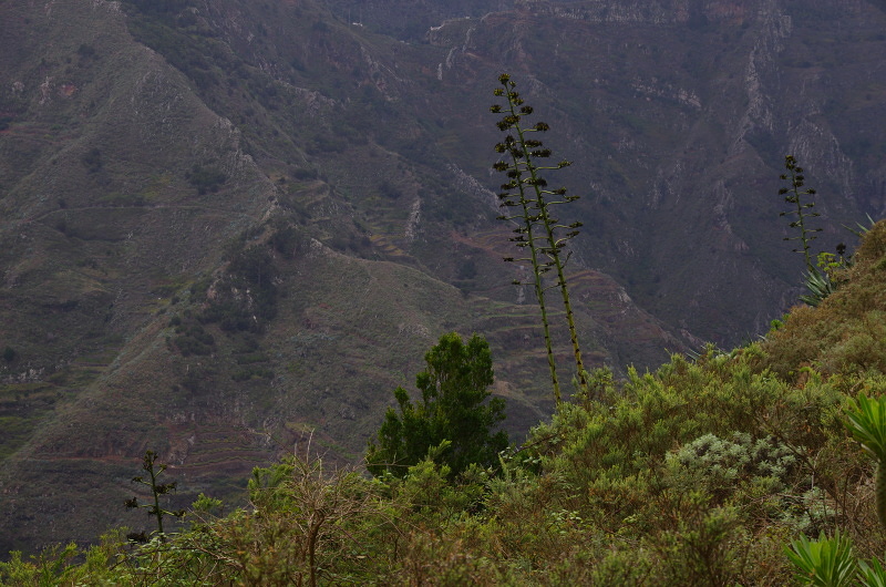 Klikni pro zm�n�en�