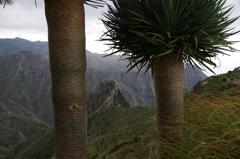 Klikni pro zm�n�en�