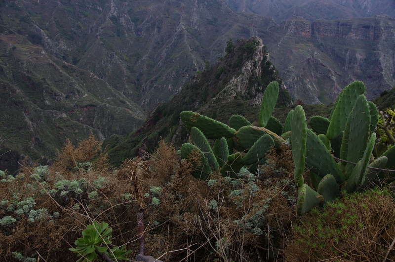 Klikni pro zm�n�en�