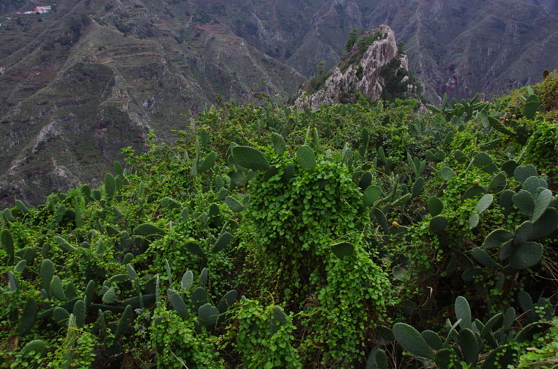 Klikni pro zm�n�en�