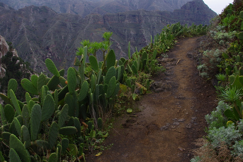 Klikni pro zm�n�en�