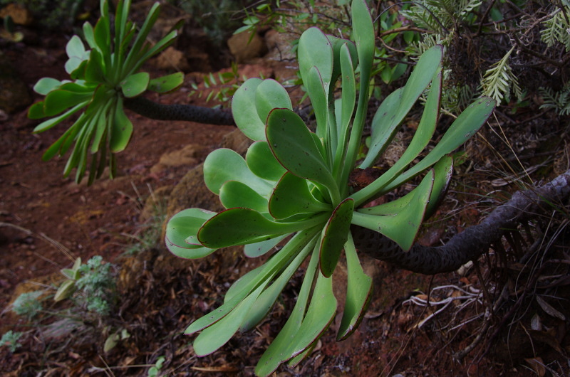 Klikni pro zm�n�en�