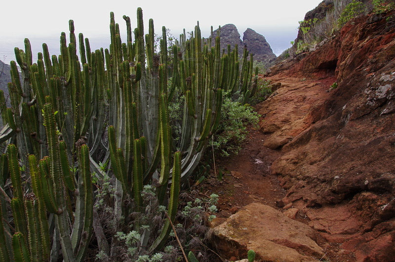 Klikni pro zm�n�en�