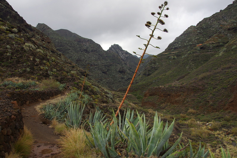 Klikni pro zm�n�en�