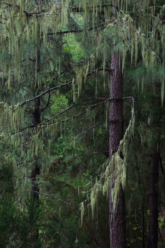 Klikni pro zm�n�en�