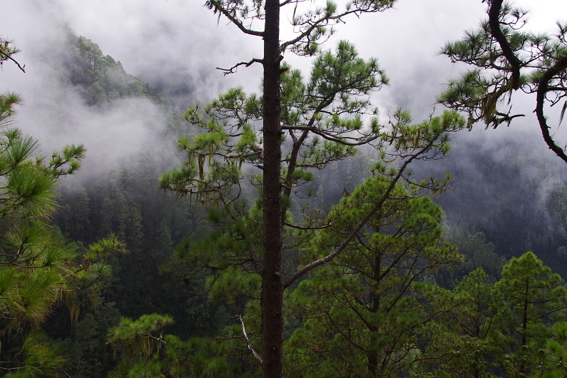 Klikni pro zm�n�en�