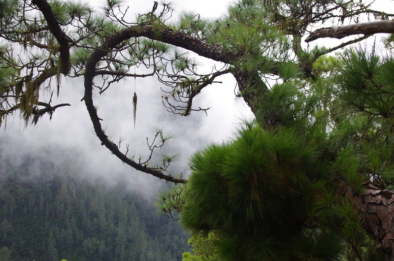 Klikni pro zm�n�en�