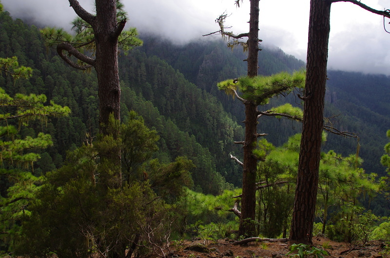 Klikni pro zm�n�en�