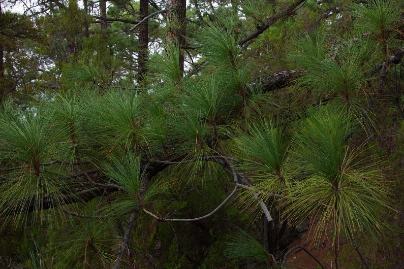 Klikni pro zm�n�en�