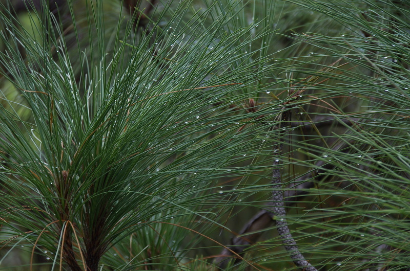 Klikni pro zm�n�en�