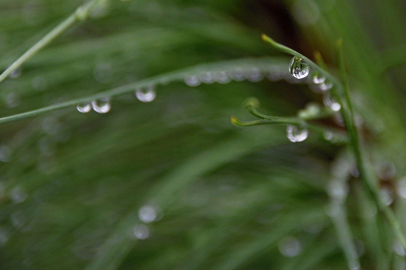 Klikni pro zm�n�en�