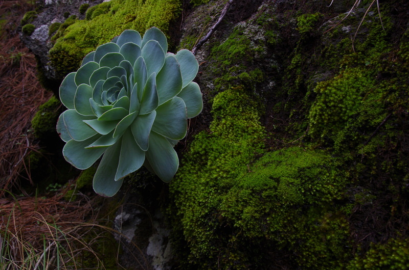 Klikni pro zm�n�en�