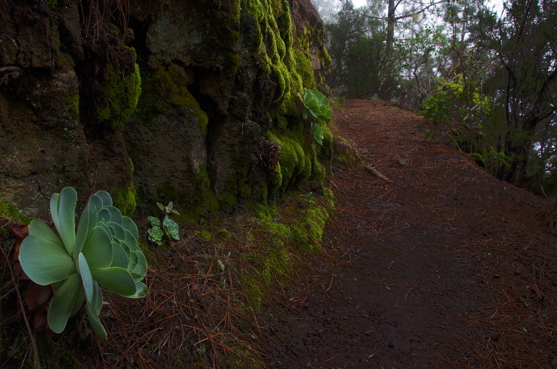 Klikni pro zm�n�en�