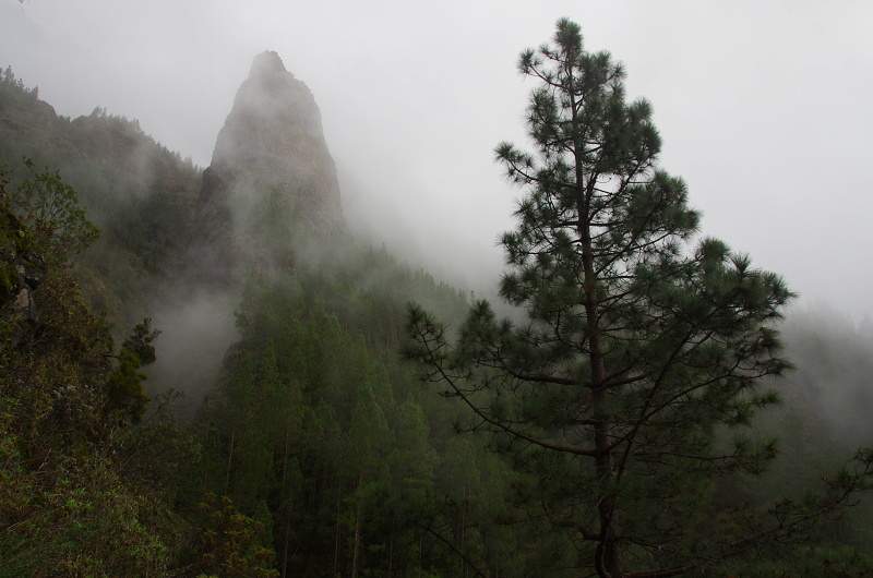 Klikni pro zm�n�en�